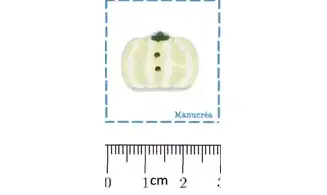 Polymer clay Button : Pumpkin N.8