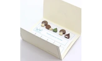 Epingles "Signes de l'automne"