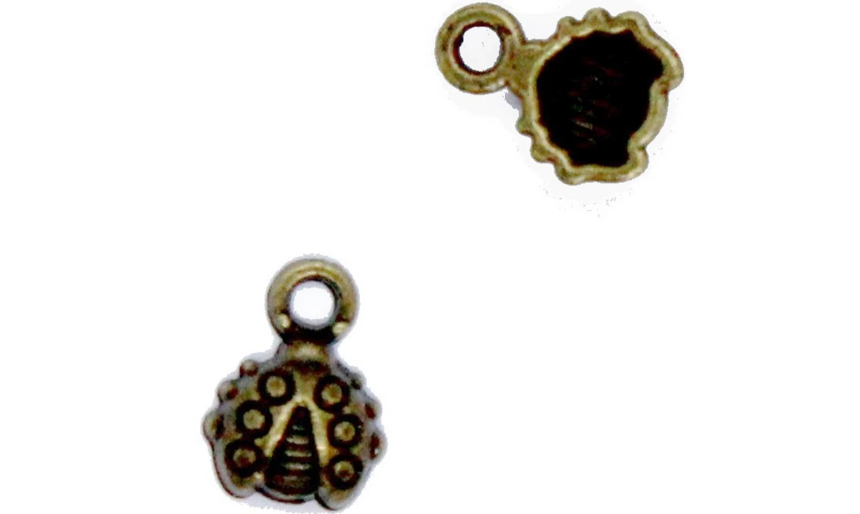 Charm Ladybug