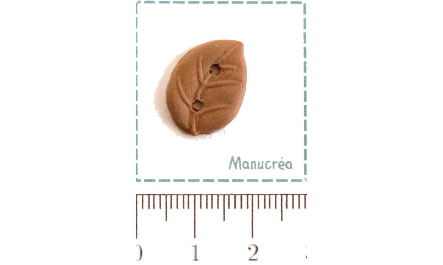 Foglia-Bottone polimero