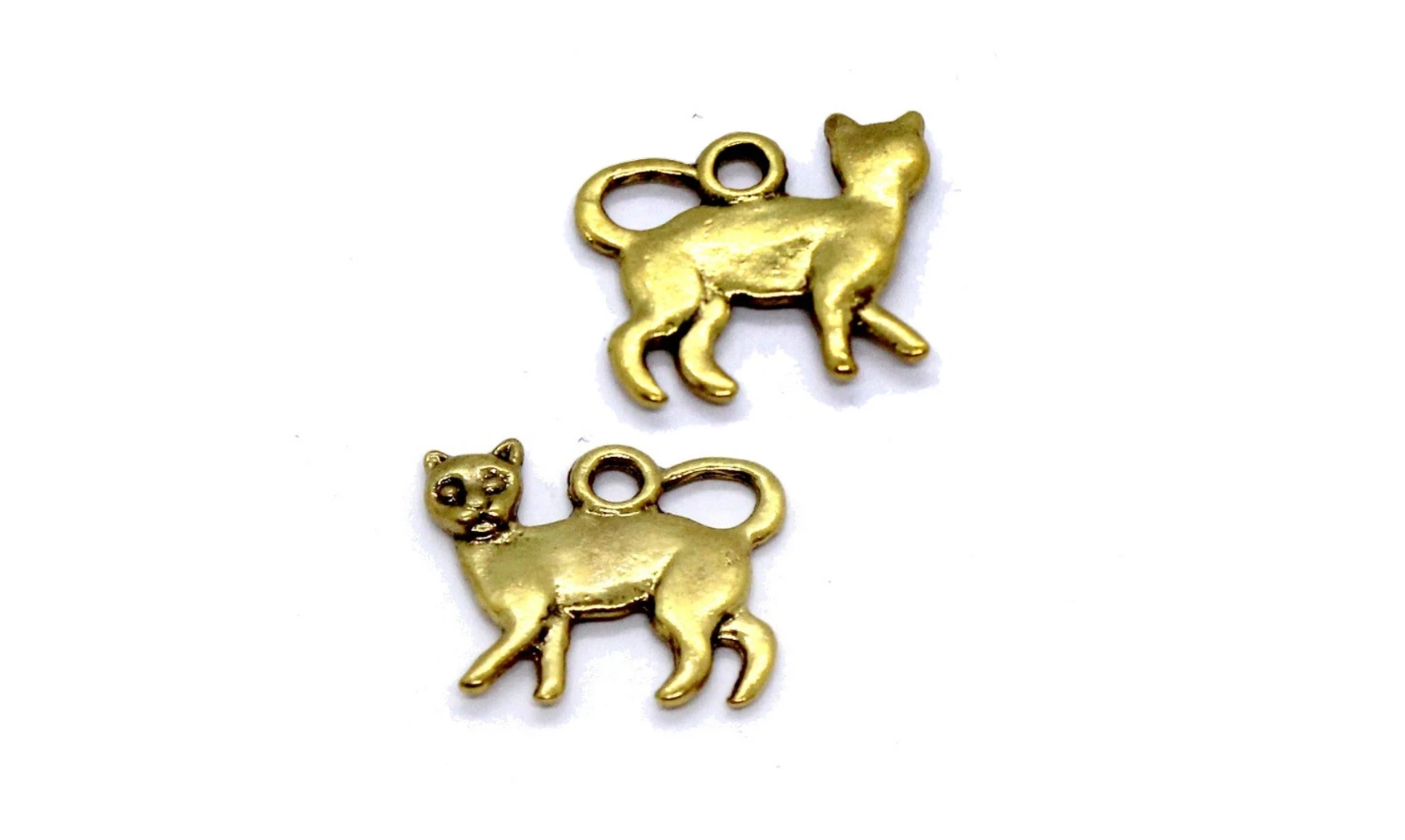 Charm Cat