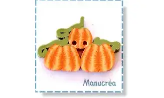 Citrouilles N.11-Bouton polymère