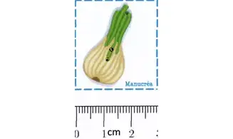 Oignon N.2-Bouton polymère