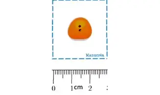 Dragibus Orange-Bouton polymère