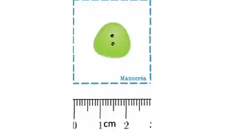 Dragibus Vert-Bouton polymère