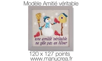 True friendship-Cross stitch