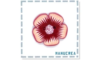 Fleur N.5-Bouton artisanal en polymère