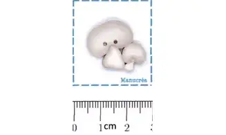 Champignon de Paris N.2-Bouton polymère