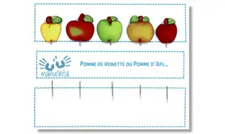 Epingles "Pomme de reinette"
