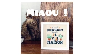Chat propriétaire-Modèle de broderie