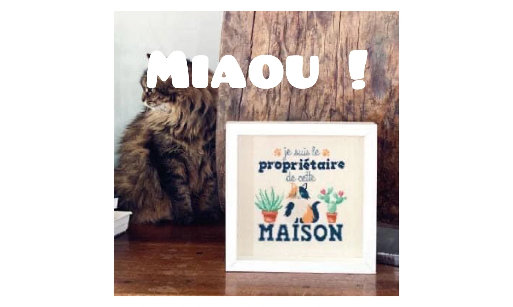 Chat propriétaire-Modèle de broderie